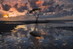 世界体能挑战赛：专项能力评估成跨项选拔重要依据，世界体力大赛