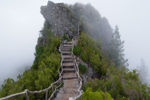 世界手球锦标赛门票销售破纪录，手球世界冠军