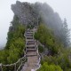 世界手球锦标赛门票销售破纪录，手球世界冠军